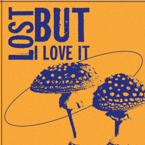 Travail de retouche photo sur base d'amanite tue-mouches avec la phrase "Lost but I love it" issu de la musique Lie de BM