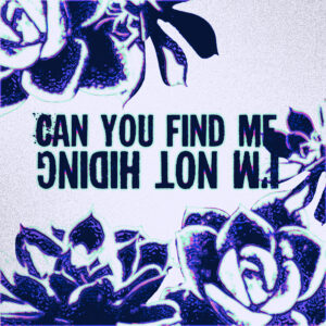 Travail de retouche photo sur base de succulentes avec la phrase "Can you find me, I'm not hiding" issu de la musique It's Not Over Till It's Over de TASH